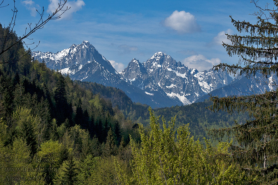 Alpsee Vilser kegel tó hegyei Bajorország lago montañas baviera