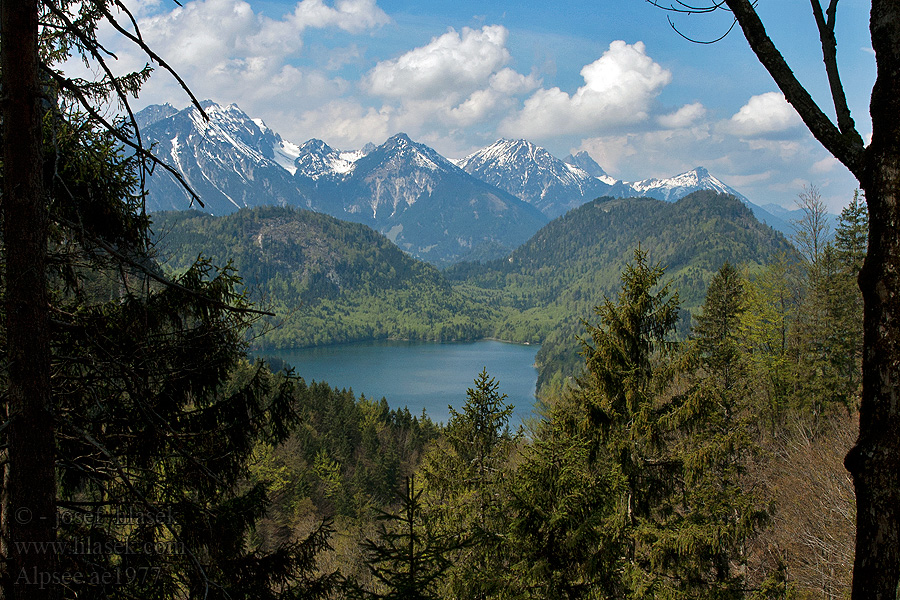 Alpsee Vilser kegel Jezero Alpy hory Bavorsko See Alpen Berge Bayern