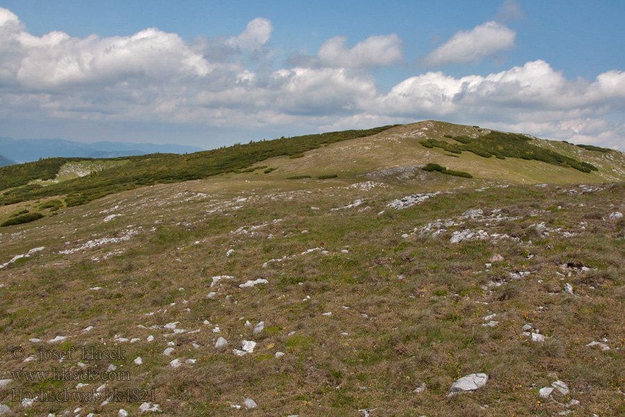 Hochschwab pohoří Горный хребет Pasmo górskie Hegyvidék Cordillera