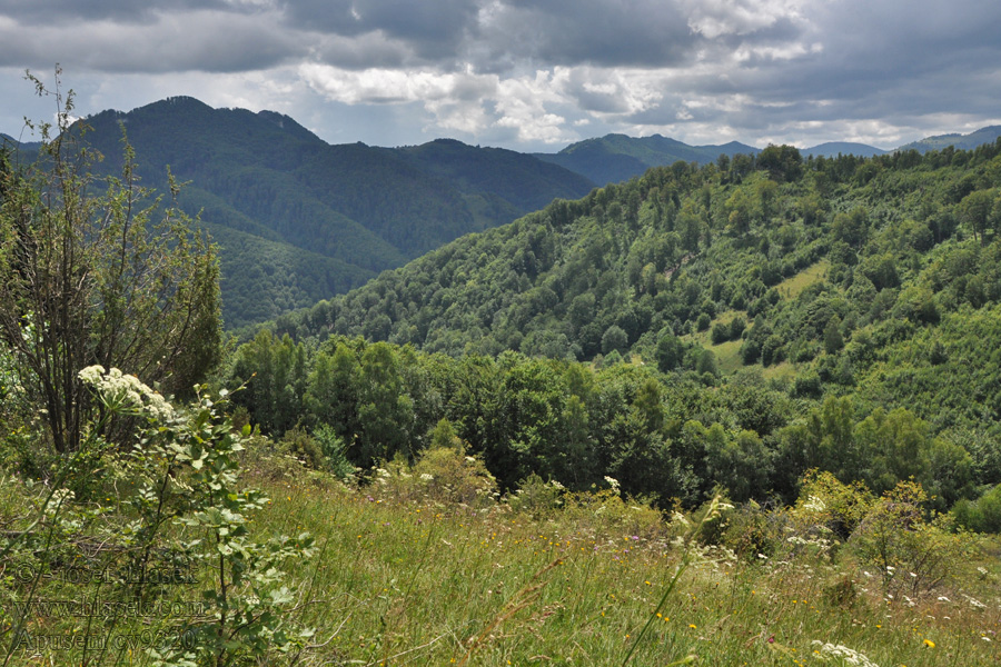 Apuseni pohoří  Gebirge Mountain range