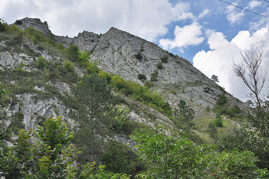 Scăriţa Belioara Chaîne de montagnes Горный хребет