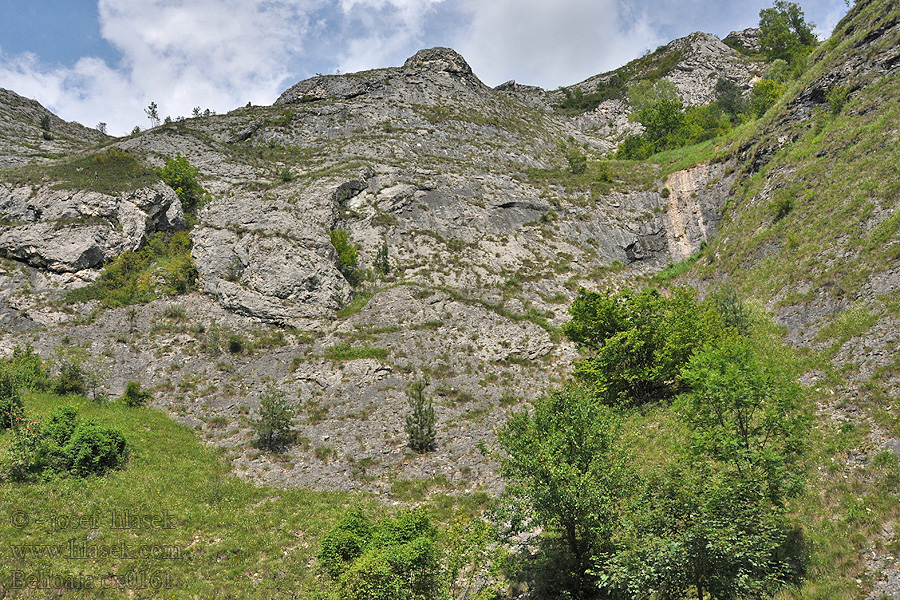 Scăriţa Belioara Apuseni Gebirge Mountain range Pasmo górskie Hegyvidék Cordillera