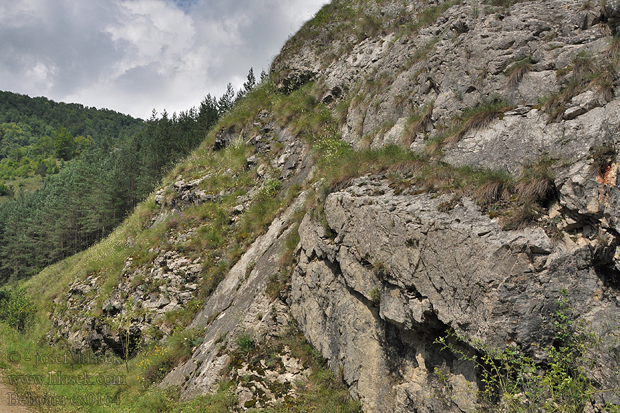 Scăriţa Belioara Apuseni Gebirge Chaîne montagnes