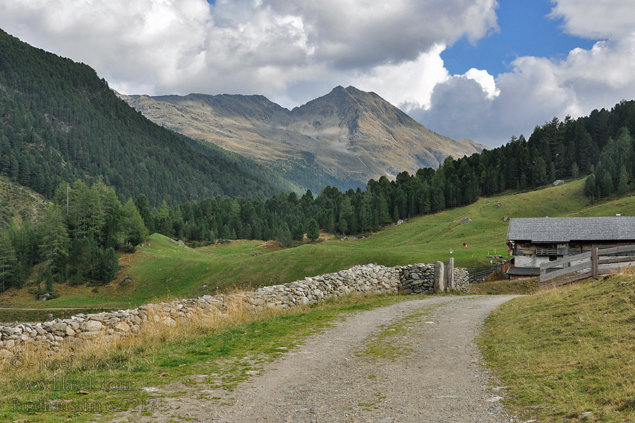 Jagdhausalm Vysoké Taury NP alpské pastviny Taury Almen alpine pastures alpages