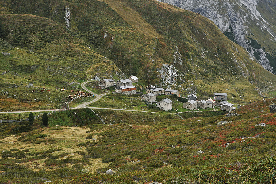 Jagdhausalm Vysoké Taury NP alpské pastviny Taury alpejskie pastwiska alpesi legelők pastos alpinos