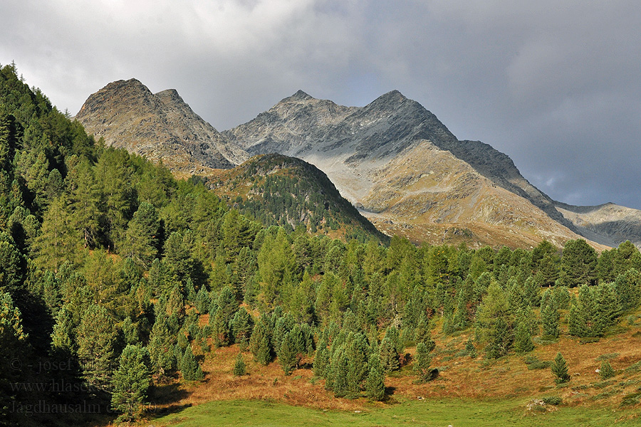 Fleischbachspitze Jagdhausalm Vysoké Taury NP alpské pastviny альпийские пастбища