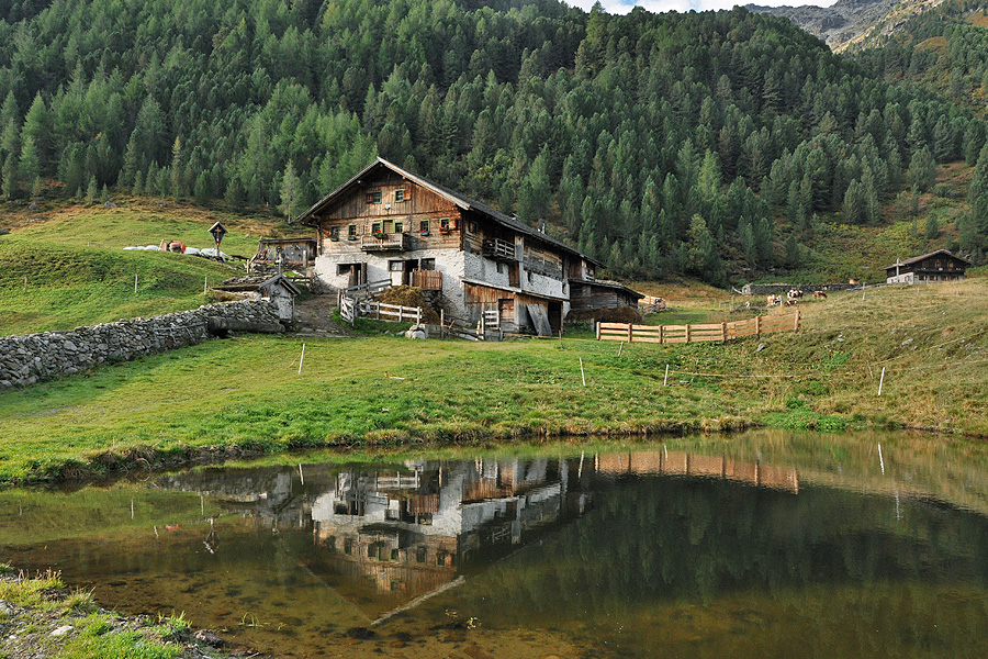 Untere Seebchalm Jagdhausalm Almen alpine pastures alpages альпийские пастбища alpejskie pastwiska alpesi legelők