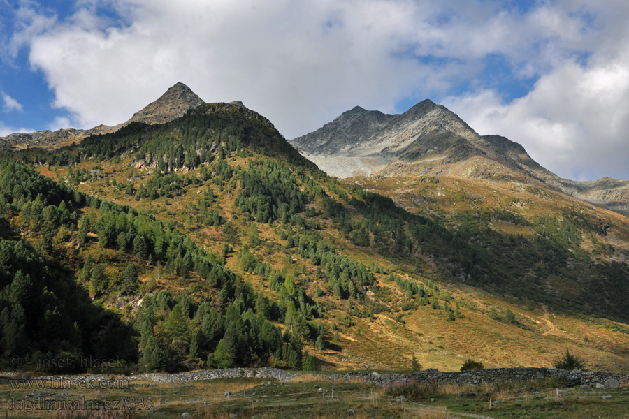 Fleischbachspitze Jagdhausalm Vysoké Taury NP alpské pastviny альпийские пастбища alpejskie pastwiska alpesi legelők pastos alpinos