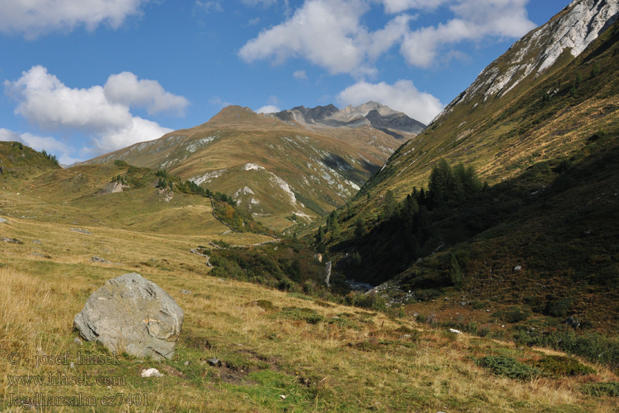 Jagdhausalm Vysoké Taury NP альпийские пастбища alpejskie pastwiska alpesi legelők pastos alpinos