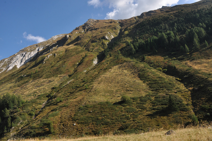 Jagdhausalm Vysoké Taury NP alpské pastviny Taury Almen alpine pastures alpages alpesi legelők pastos alpinos