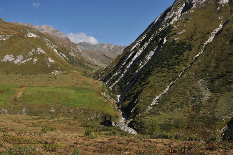 Schwarzachtal Jagdhausalm alpské pastviny Taury Almen alpine pastures alpages альпийские пастбища