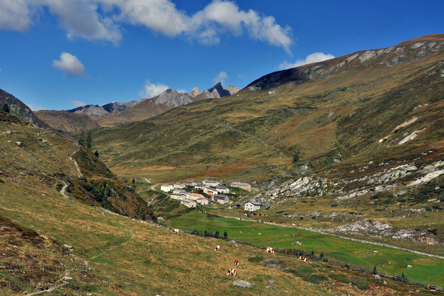 Alprechspitze Jagdhausalm Vysoké Taury NP alpské pastviny Taury Almen alpine pastures alpages