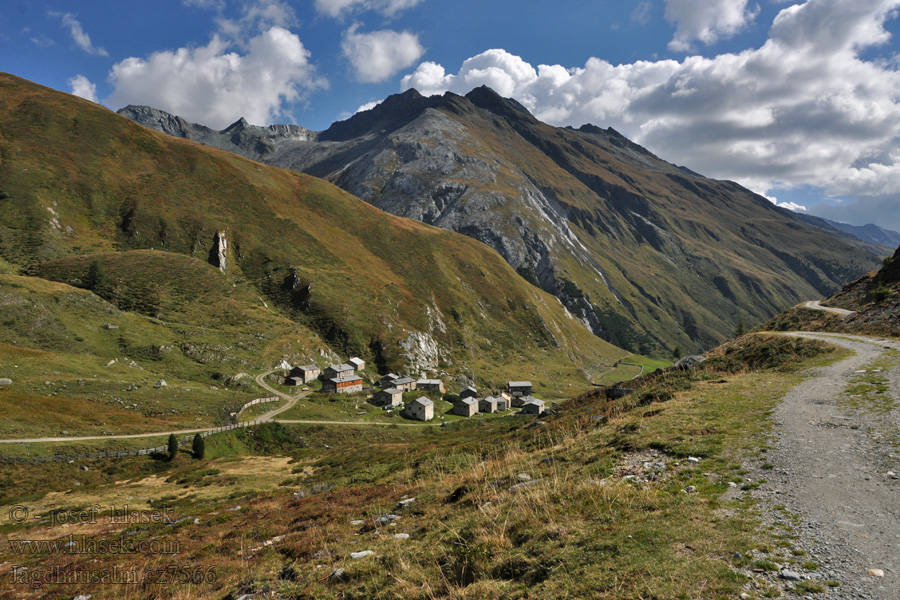 Totenkarspitze Jagdhausalm Vysoké Taury NP alpské pastviny Taury Almen alpine pastures alpages альпийские пастбища alpejskie pastwiska alpesi legelők pastos alpinos