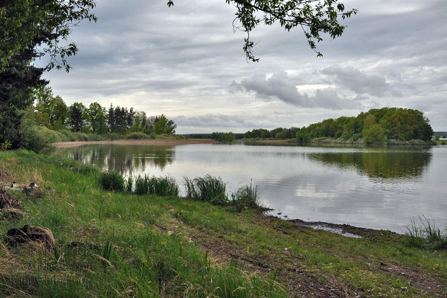 Káňov rybník Teich pond étang пруд staw tavacska estanque