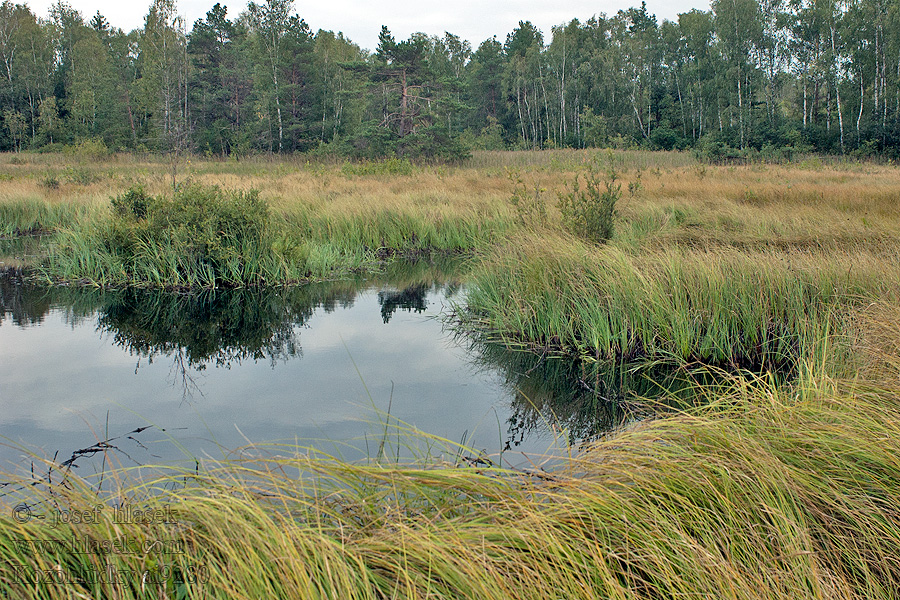 Kozohlůdky PR ručně Torfland manually excavated bog tourbière creusée