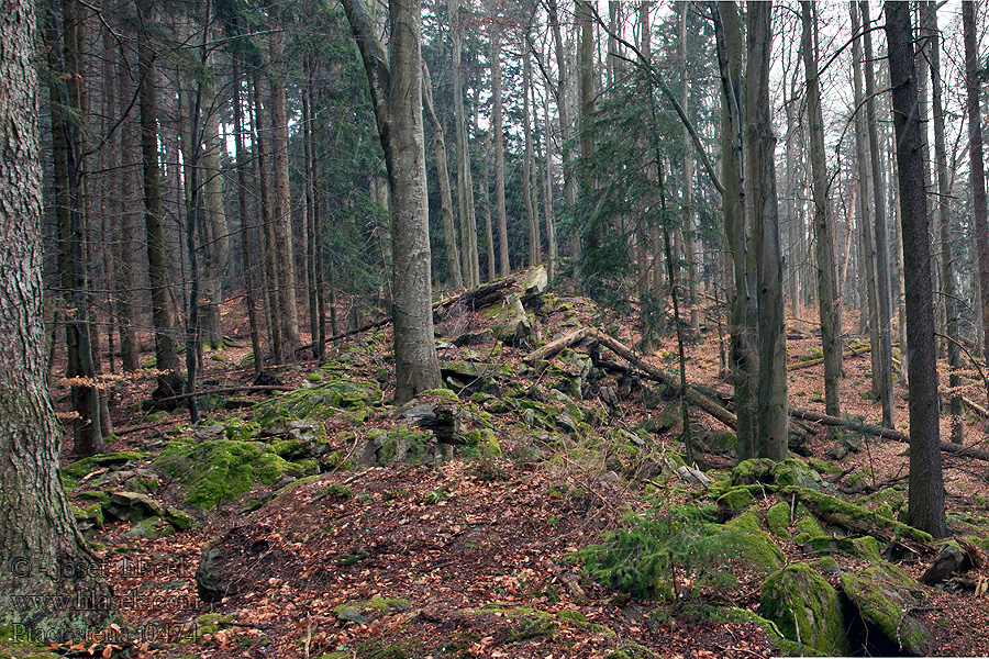 Ptačí stěna PR hřbet mrazový srub log house cabane en rondins de gel