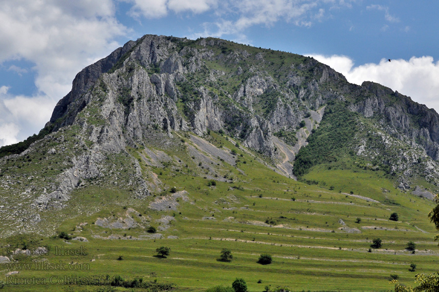 Coltii Trascaului vápencová hora Rimetea Kalksteinberg montagne calcaire