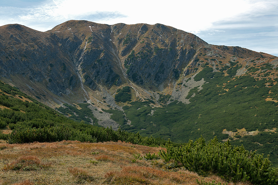 Roháče NP Rohácsgebirge Рогаче Rohacze Rohács-csoport