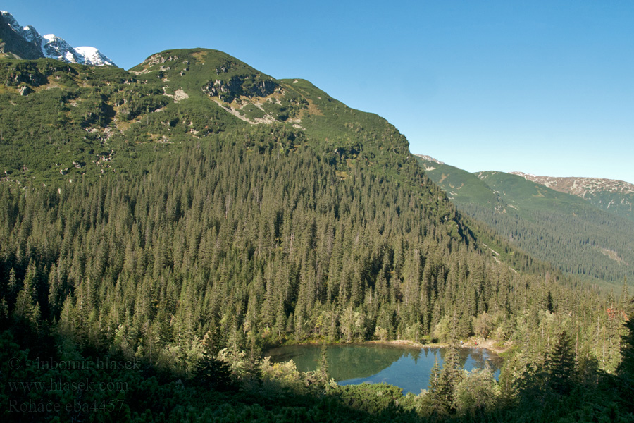 Roháče NP Rohácsgebirge Рогаче Rohacze Rohács-csoport